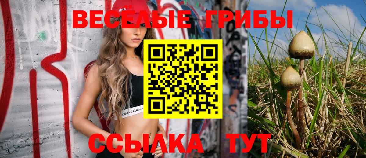 Псилоцибиновые грибы MAGIC MUSHROOMS Дедовск