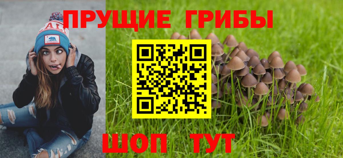 Галлюциногенные грибы GOLDEN TEACHER  Дедовск 