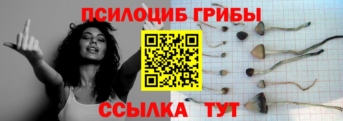 Псилоцибиновые грибы Magic Shrooms  Псилоцибиновые грибы мухоморы  Дедовск  Вход с VPN 